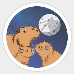 Three Capybara Moon Funny Pelican Capybara Wolf meme Sticker